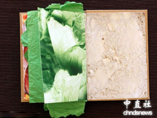 波兰设计师创作三明治书 秀色可餐