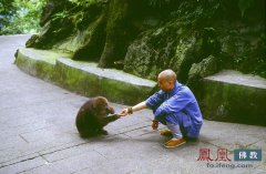  峨眉山灵猴顽皮通人性 朝九晚五“上班”很规律 