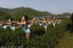  浙江芭蕾美女茶园采茶 性感惹眼 