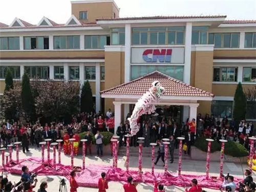 青岛电视台QTV1报道长青中国中华传统文化盛会