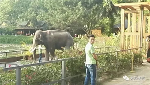 带梦前行，快乐出发——天源华玛会员西双版纳温馨之旅圆满结束！