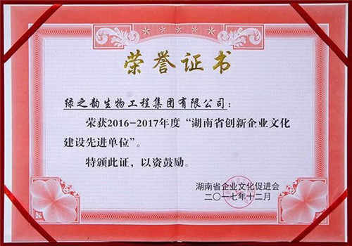 绿之韵：2017年度荣耀，用实力见证成长