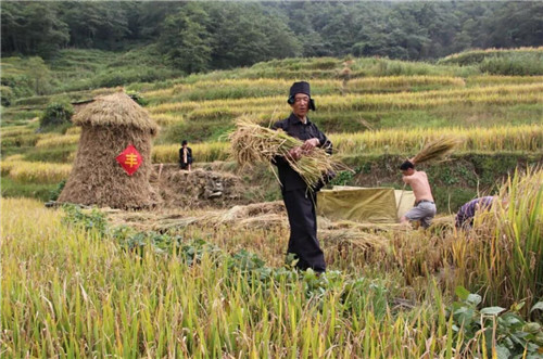 龙润集团助力云南元阳脱贫攻坚走新路