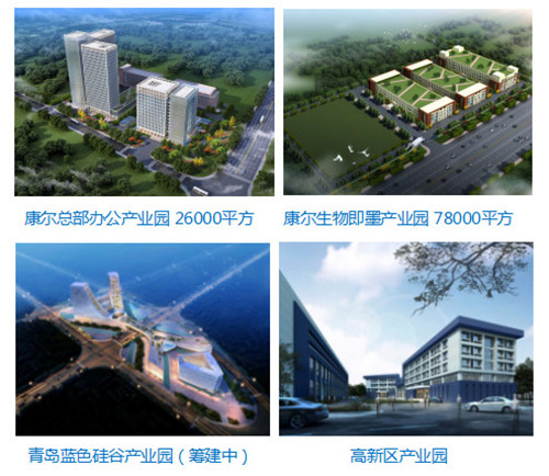 青岛将建国家海洋技术转移中心，康尔总部四大产业园助蓝色经济腾飞！